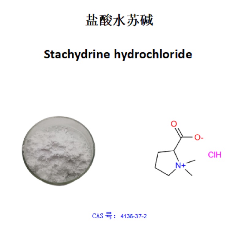 鹽酸水蘇堿